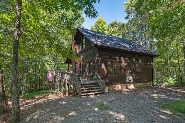 63 Bushy Head Road, Cherry Log, GA 30522