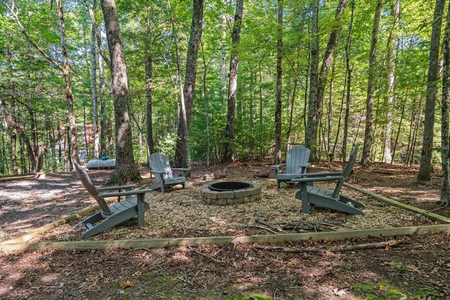 63 Bushy Head Road, Cherry Log, GA 30522