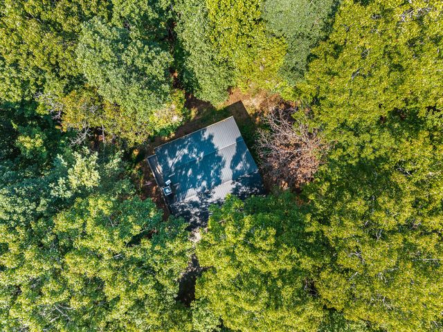 63 Bushy Head Road, Cherry Log, GA 30522