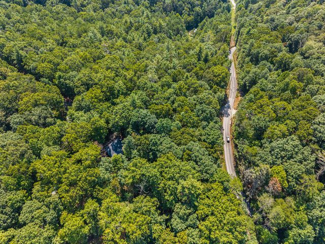 63 Bushy Head Road, Cherry Log, GA 30522