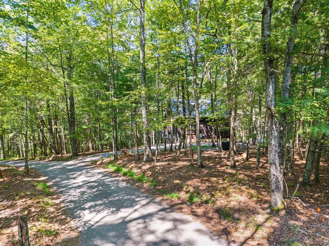63 Bushy Head Road, Cherry Log, GA 30522
