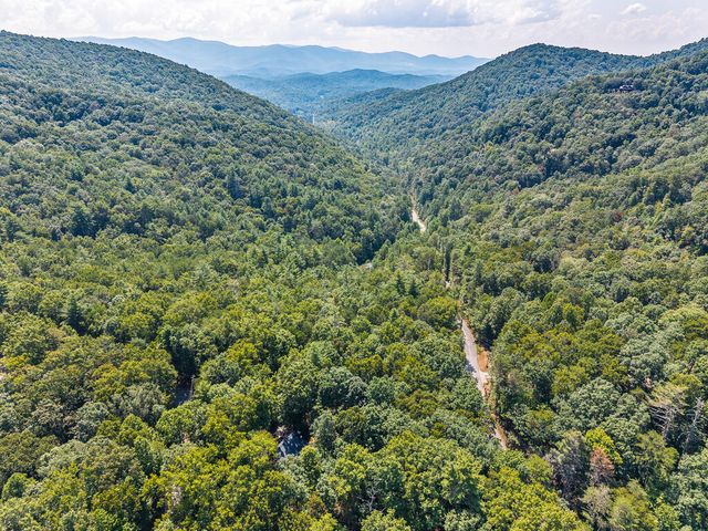 63 Bushy Head Road, Cherry Log, GA 30522
