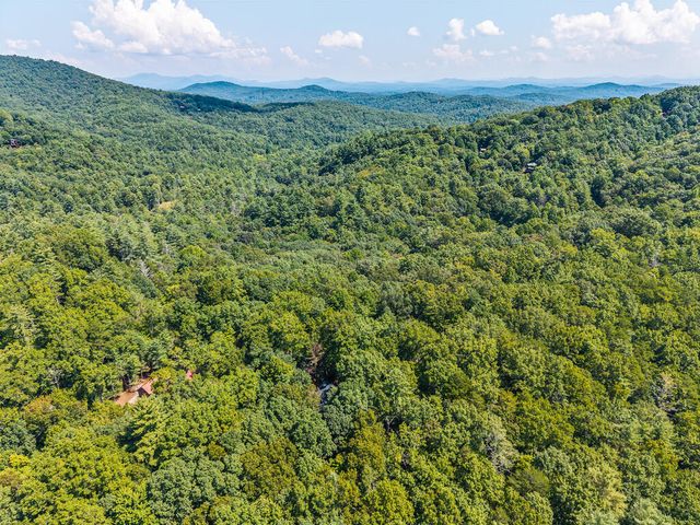 63 Bushy Head Road, Cherry Log, GA 30522