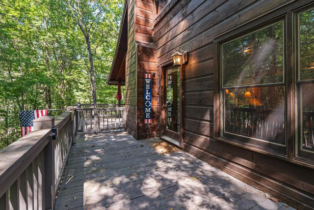 63 Bushy Head Road, Cherry Log, GA 30522