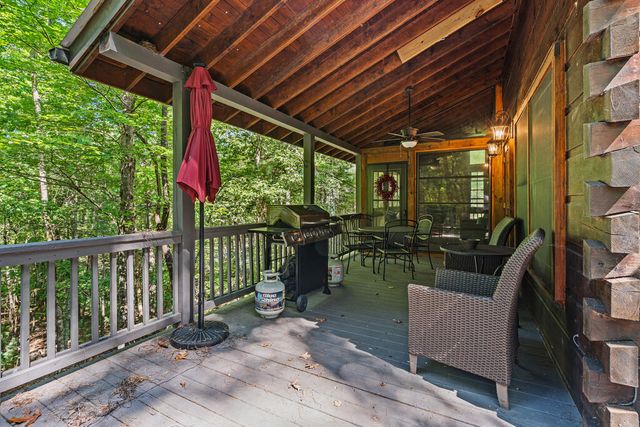 63 Bushy Head Road, Cherry Log, GA 30522