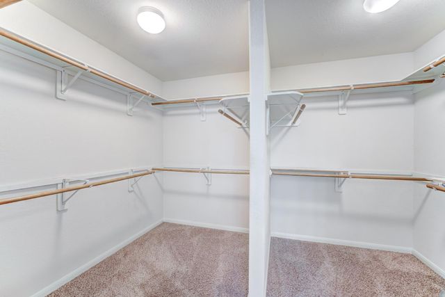 5807 Story Book Trail, Missouri City, TX 77459