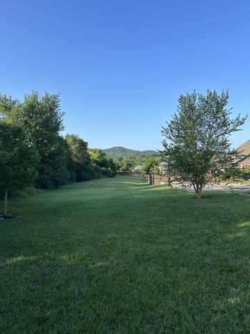 2553 Carmine St, Nolensville, TN 37135