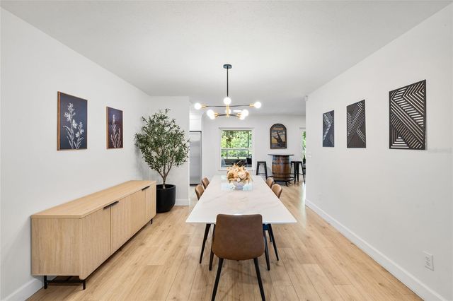 7231 WOODBROOK DRIVE, Tampa, FL 33625