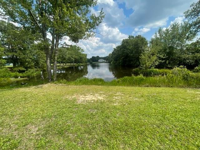 1440 Fellowship Drive, Manning, SC 29102