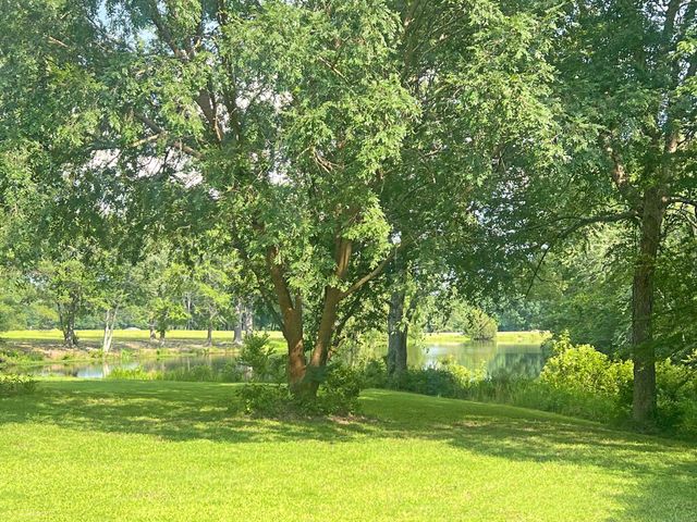 1440 Fellowship Drive, Manning, SC 29102