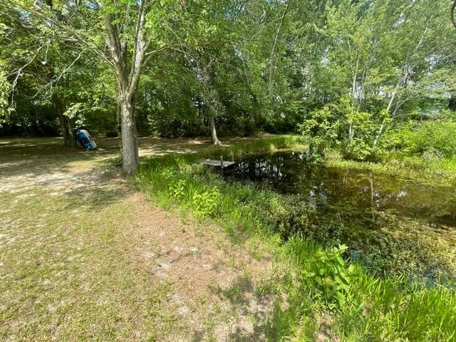 1440 Fellowship Drive, Manning, SC 29102