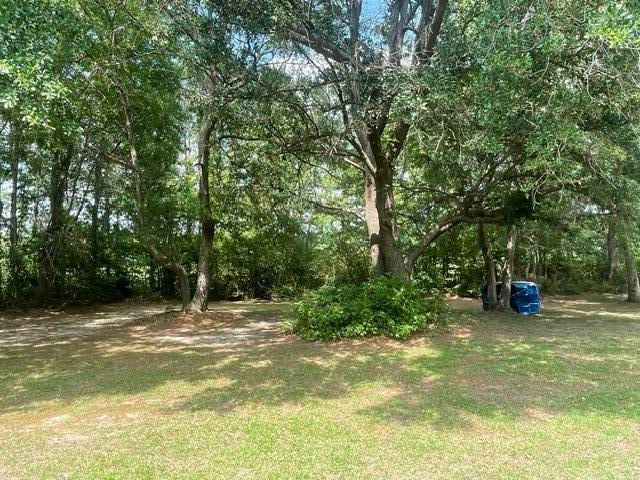 1440 Fellowship Drive, Manning, SC 29102