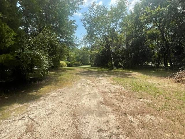 1440 Fellowship Drive, Manning, SC 29102