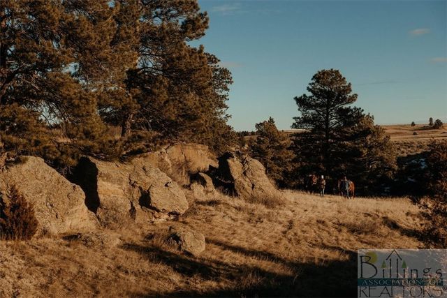 Lot 2 Block 3 E Montrose ROAD, Billings, MT 59106