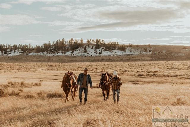 Lot 2 Block 3 E Montrose ROAD, Billings, MT 59106