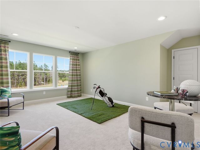 17348 Alana Dr, Moseley, VA 23120