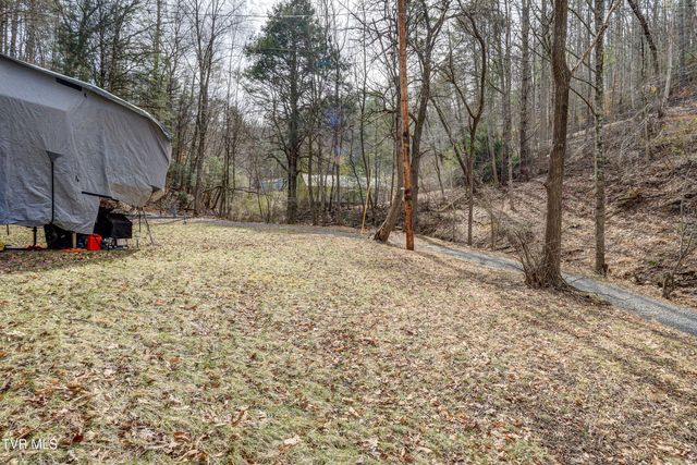 710 Black Mountain Drive, Butler, TN 37640