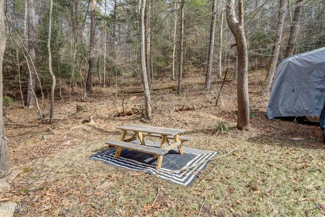 710 Black Mountain Drive, Butler, TN 37640