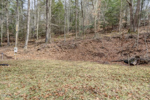 710 Black Mountain Drive, Butler, TN 37640