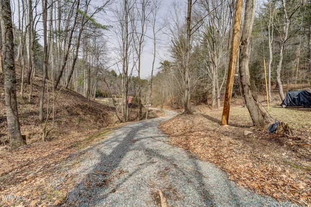 710 Black Mountain Drive, Butler, TN 37640