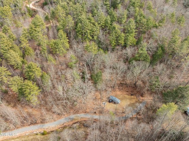 710 Black Mountain Drive, Butler, TN 37640