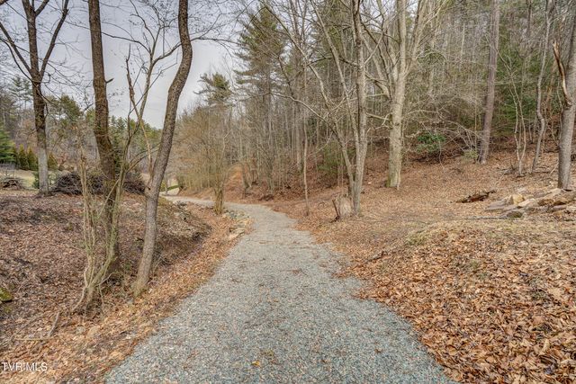 710 Black Mountain Drive, Butler, TN 37640