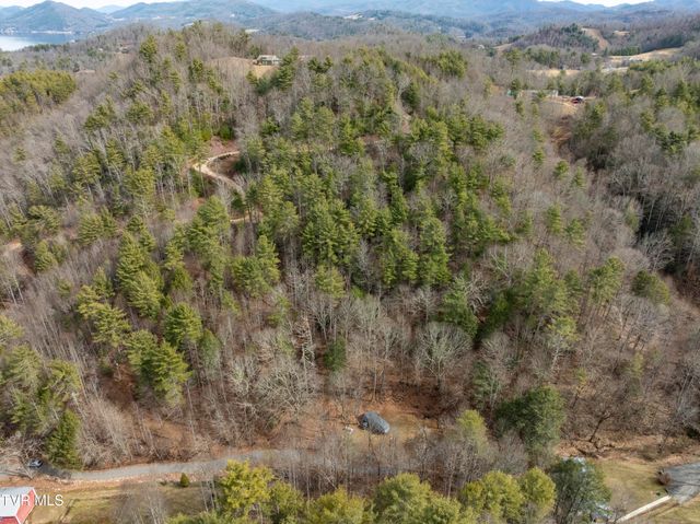 710 Black Mountain Drive, Butler, TN 37640