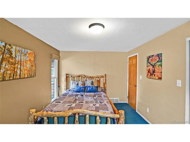 67 Holdup St, Bailey, CO 80421
