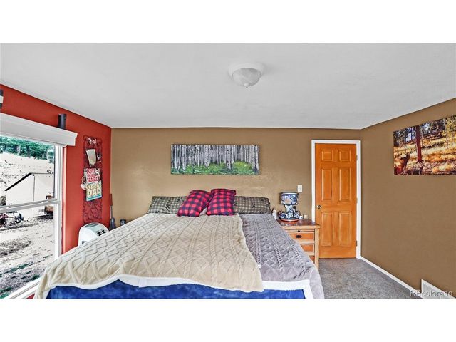 67 Holdup St, Bailey, CO 80421