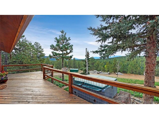 67 Holdup St, Bailey, CO 80421