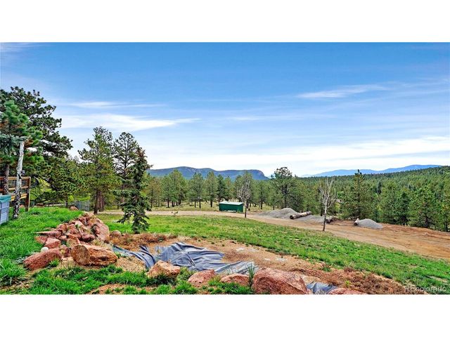67 Holdup St, Bailey, CO 80421