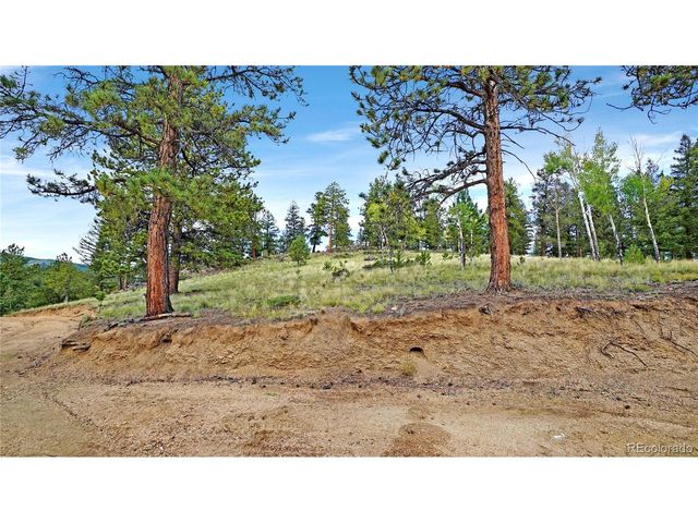 67 Holdup St, Bailey, CO 80421