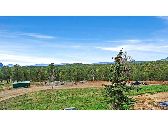 67 Holdup St, Bailey, CO 80421