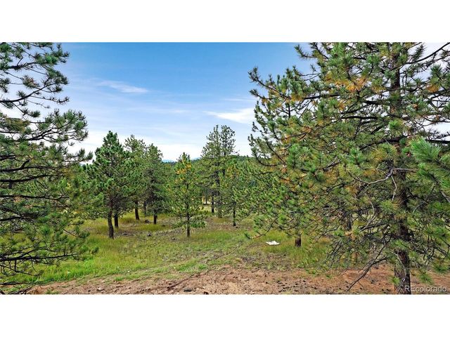 67 Holdup St, Bailey, CO 80421