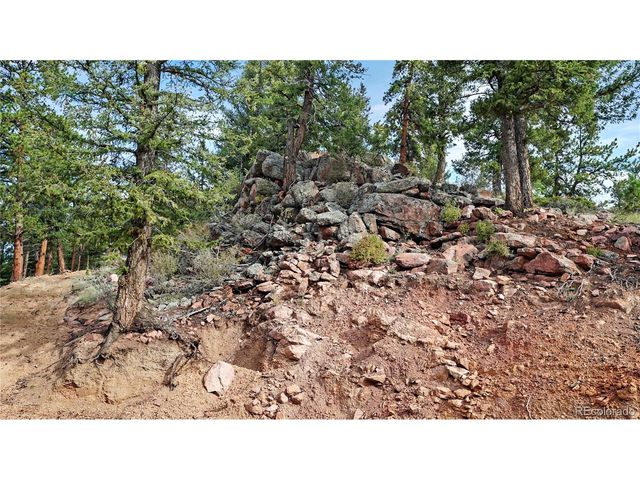 67 Holdup St, Bailey, CO 80421
