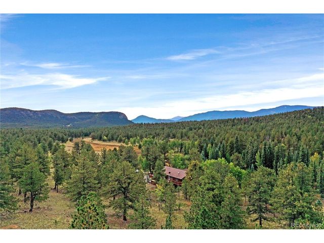 67 Holdup St, Bailey, CO 80421
