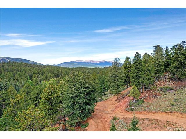 67 Holdup St, Bailey, CO 80421