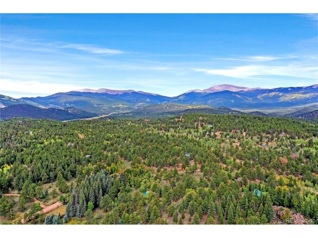 67 Holdup St, Bailey, CO 80421