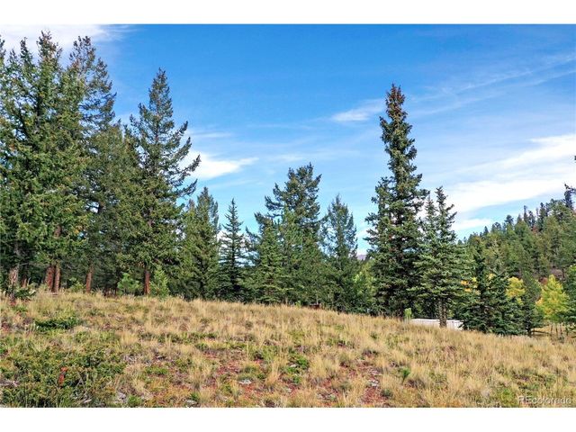 67 Holdup St, Bailey, CO 80421