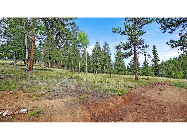 67 Holdup St, Bailey, CO 80421