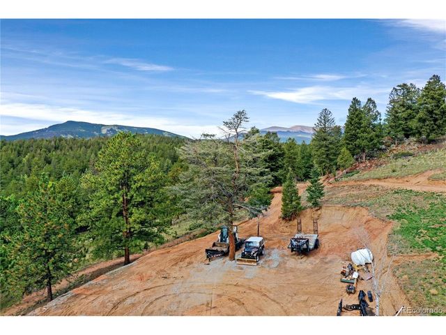 67 Holdup St, Bailey, CO 80421