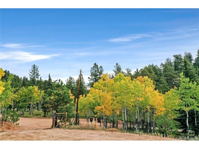 67 Holdup St, Bailey, CO 80421