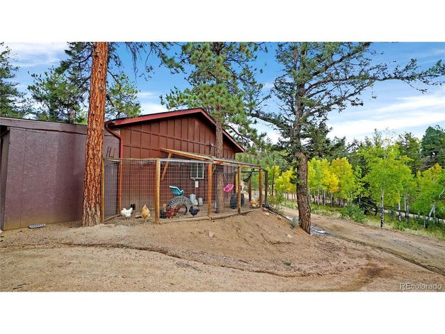 67 Holdup St, Bailey, CO 80421