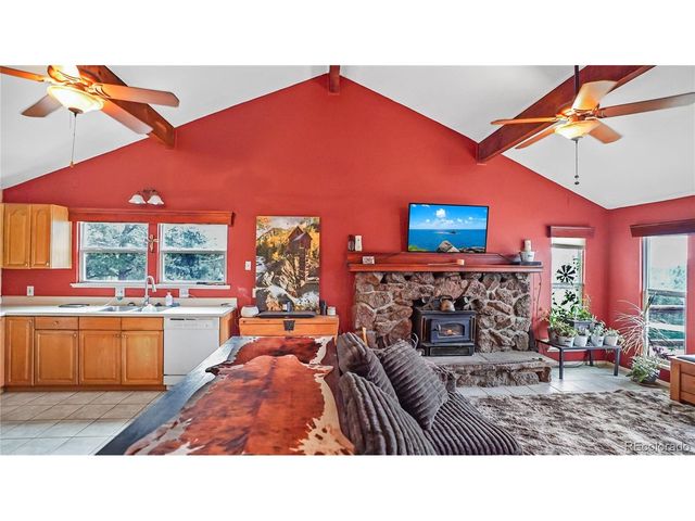 67 Holdup St, Bailey, CO 80421