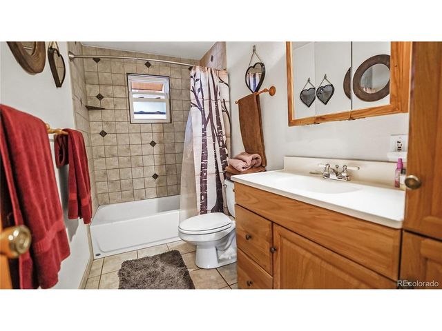 67 Holdup St, Bailey, CO 80421