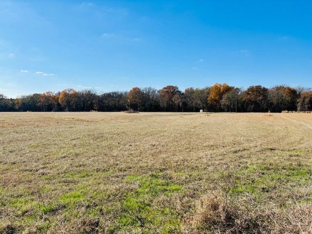 954 County Road 1813, Yantis, TX 75773