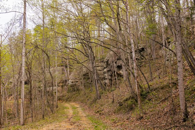 tbd9999 Wentworth School Road, Beattyville, KY 41311