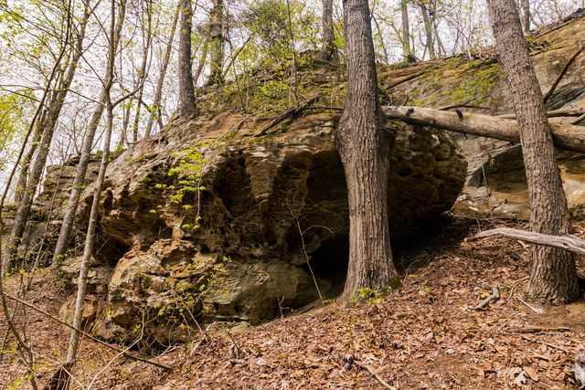 tbd9999 Wentworth School Road, Beattyville, KY 41311