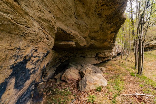 tbd9999 Wentworth School Road, Beattyville, KY 41311