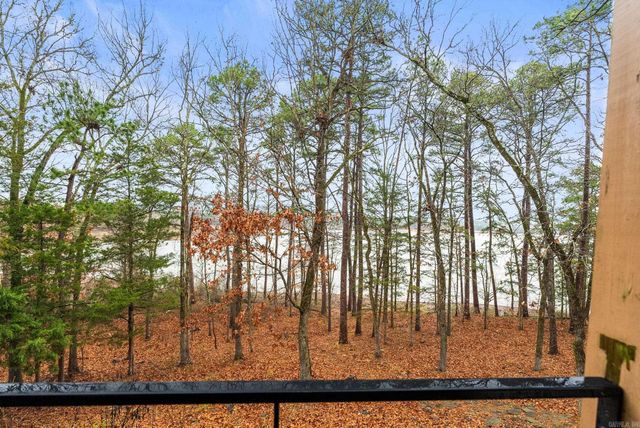 4299 Lake Drive, Clinton, AR 72031